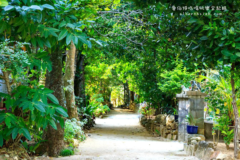 '沖繩自駕自由行.備瀨樹蔭林道