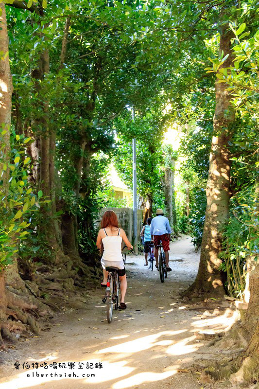 '沖繩自駕自由行.備瀨樹蔭林道