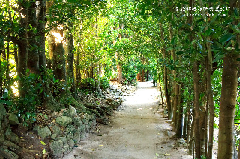 '沖繩自駕自由行.備瀨樹蔭林道