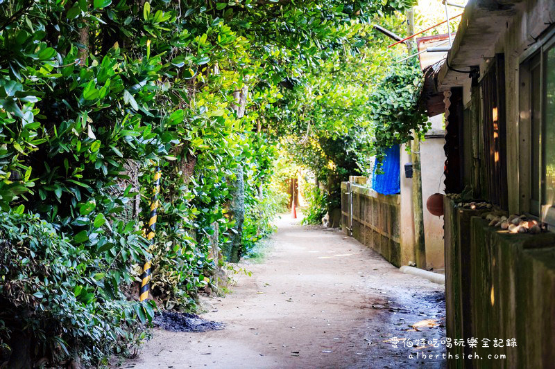 '沖繩自駕自由行.備瀨樹蔭林道