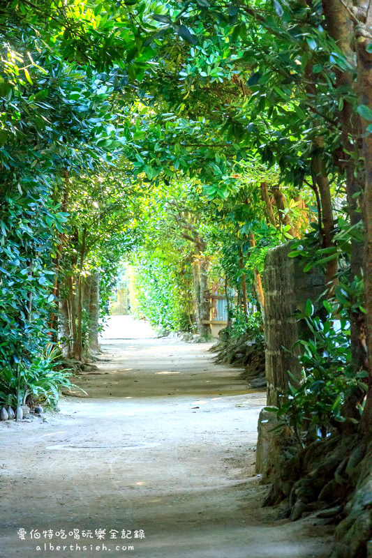 '沖繩自駕自由行.備瀨樹蔭林道