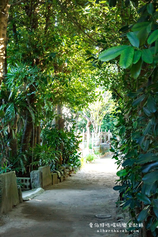 '沖繩自駕自由行.備瀨樹蔭林道