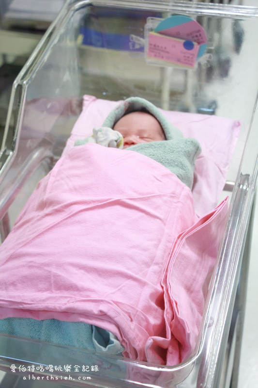 ARIES專欄.媽媽日記15(生產全餐之外加點心) @愛伯特