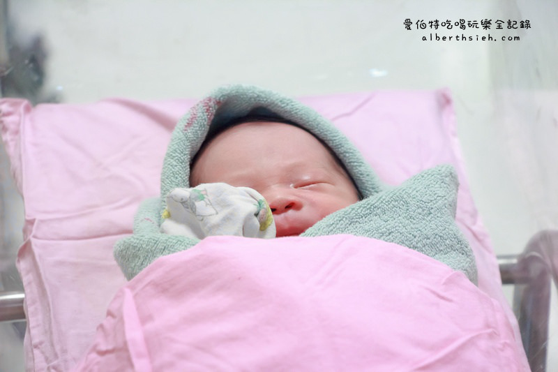 ARIES專欄.媽媽日記15(生產全餐之外加點心) @愛伯特