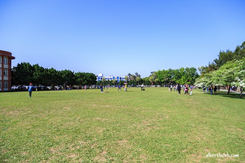 大溪龍潭一日遊．落羽松石門水庫賞楓（楓葉/梅花/落羽松/大草坪/美景/美食通通包） @愛伯特