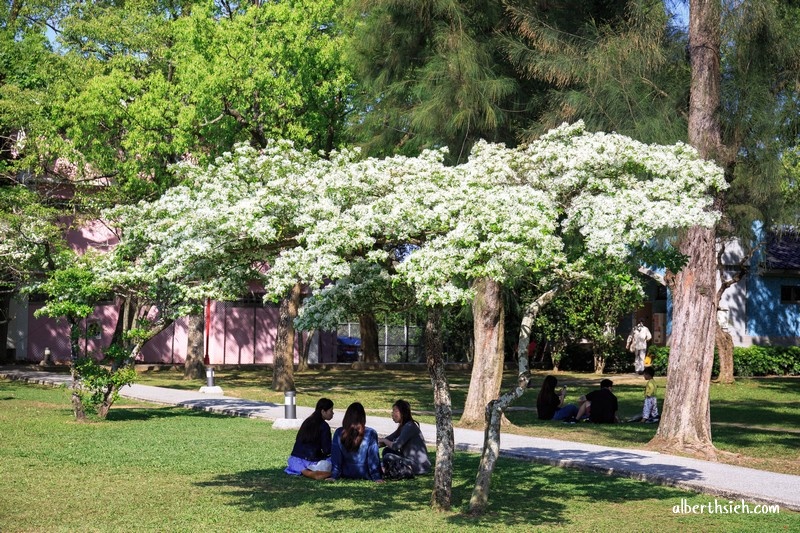 北區水資源局大草坪．桃園龍潭景點