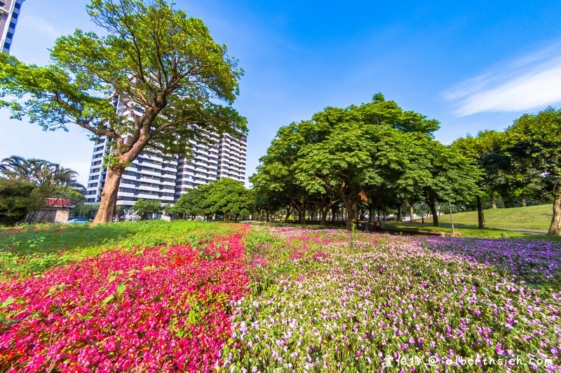 大溪埔頂公園．桃園親子景點（萬坪綠地，橫跨北二高，還有超夯的滾輪溜滑梯） @愛伯特