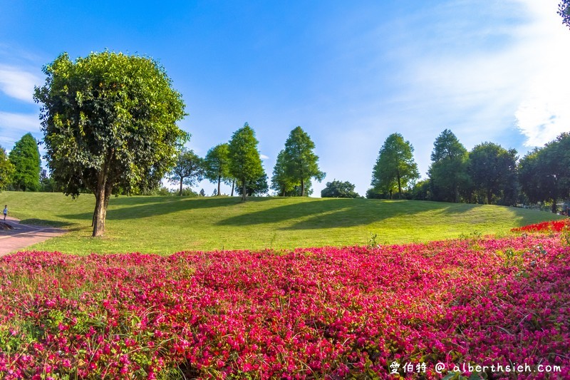 大溪埔頂公園．桃園親子景點（萬坪綠地，橫跨北二高，還有超夯的滾輪溜滑梯） @愛伯特