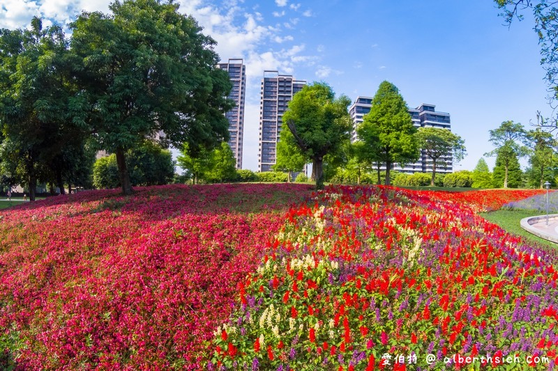 大溪埔頂公園．桃園親子景點（萬坪綠地，橫跨北二高，還有超夯的滾輪溜滑梯） @愛伯特