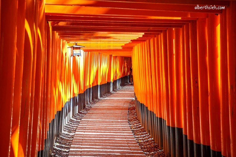 伏見稲荷大社．京都景點