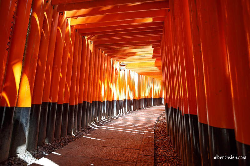 伏見稲荷大社．京都景點