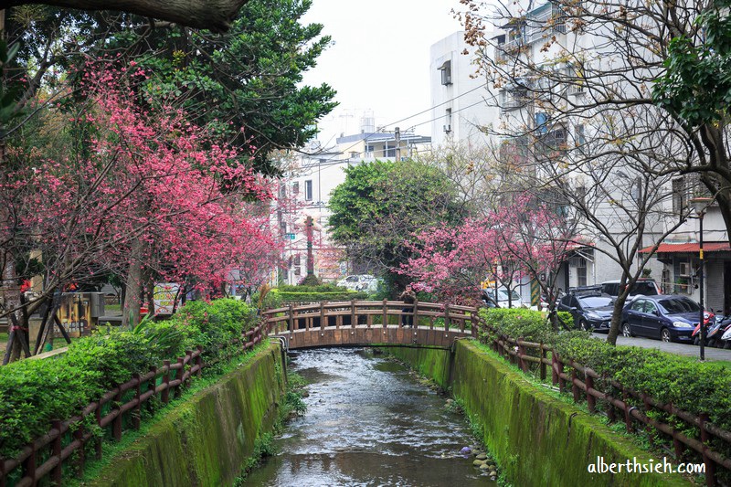 莒光櫻花公園．桃園中壢景點