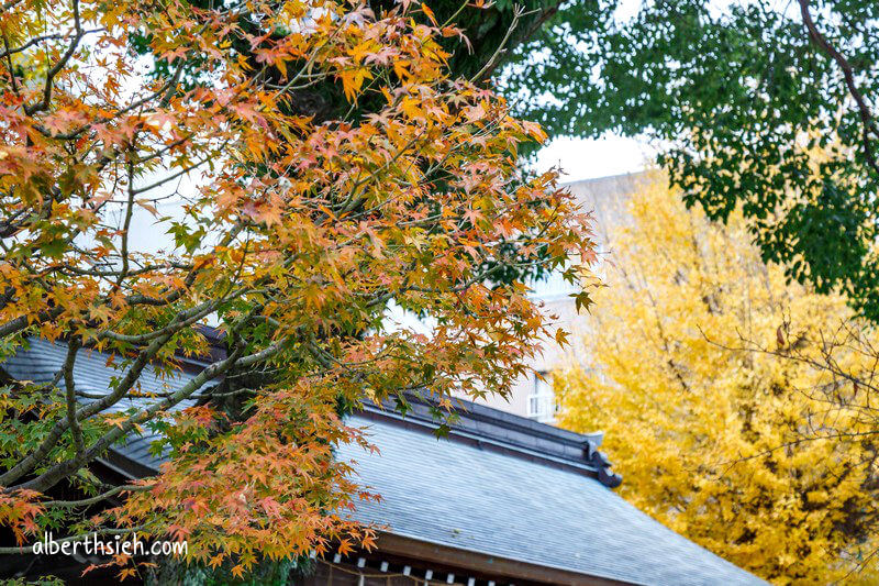 櫛田神社．九州福岡景點（博多總鎮守祇園山笠超豪華絢麗）