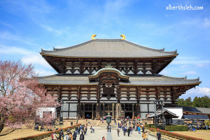 東大寺．奈良景點