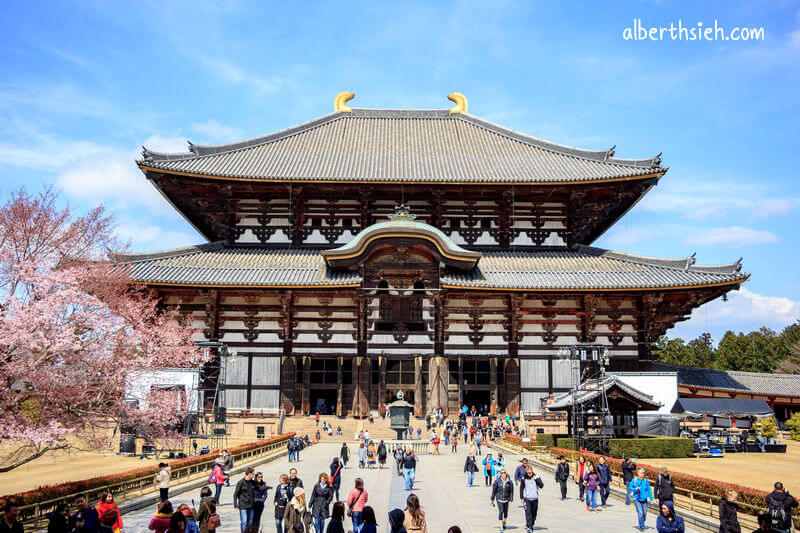 東大寺．奈良景點