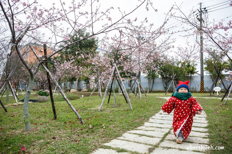 2021中科崴立櫻花公園．台中后里櫻花景點（千坪數百棵櫻花任你拍不用人擠人） @愛伯特