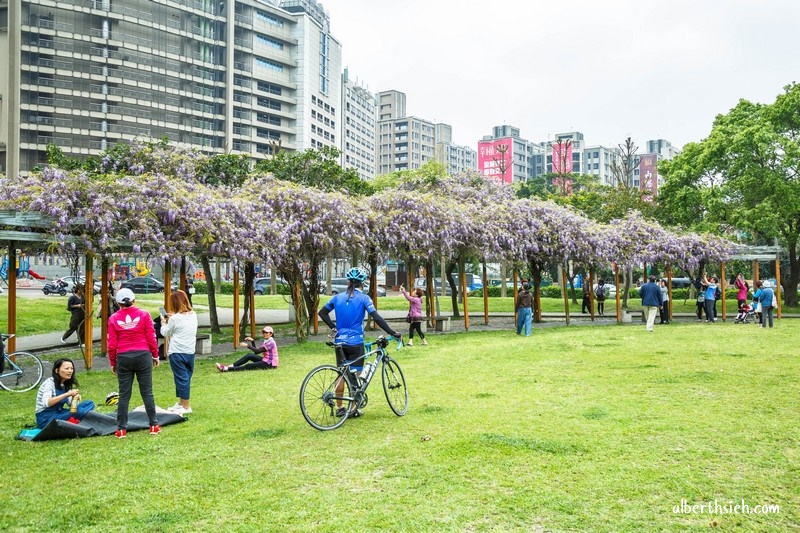 元生公園紫藤花．桃園中壢景點