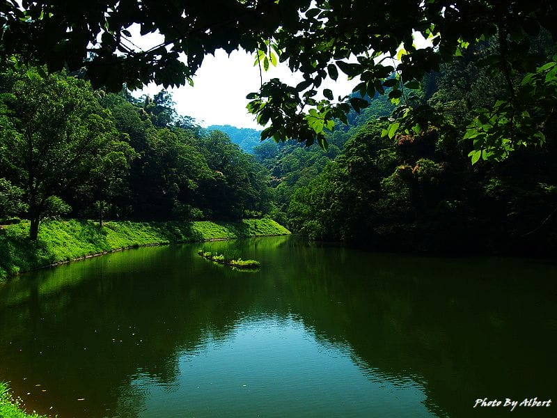 後慈湖．桃園大溪景點（神秘的祕境之南）