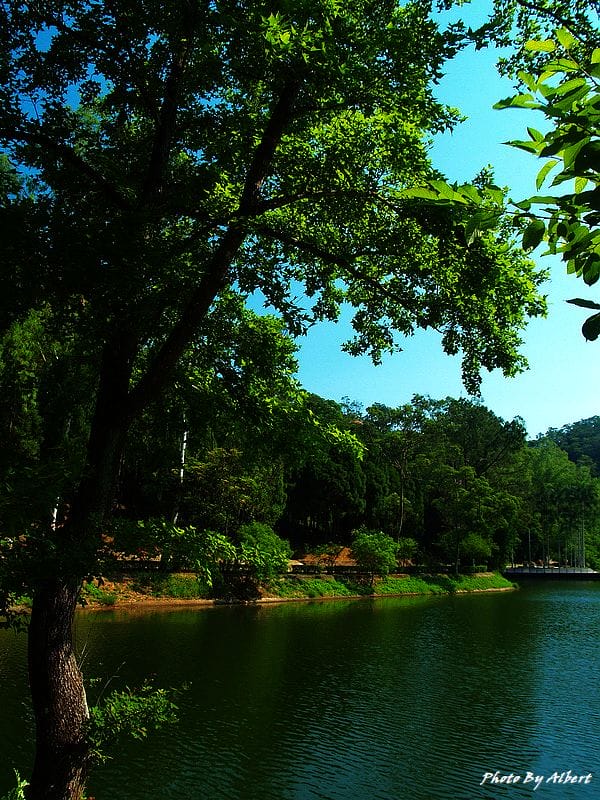 後慈湖．桃園大溪景點（神秘的祕境之南）