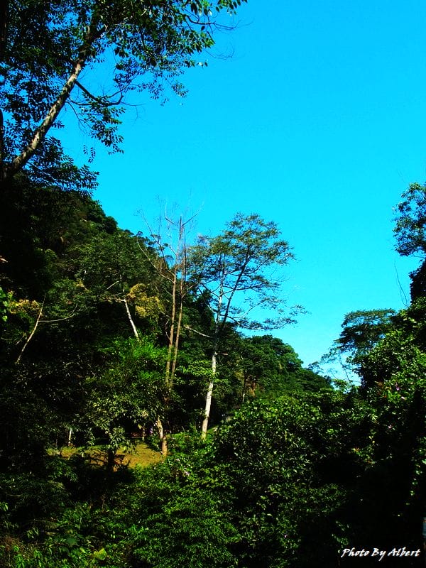 後慈湖．桃園大溪景點（神秘的祕境之南）