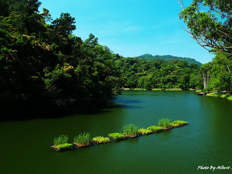 後慈湖．桃園大溪景點（神秘的祕境之南）