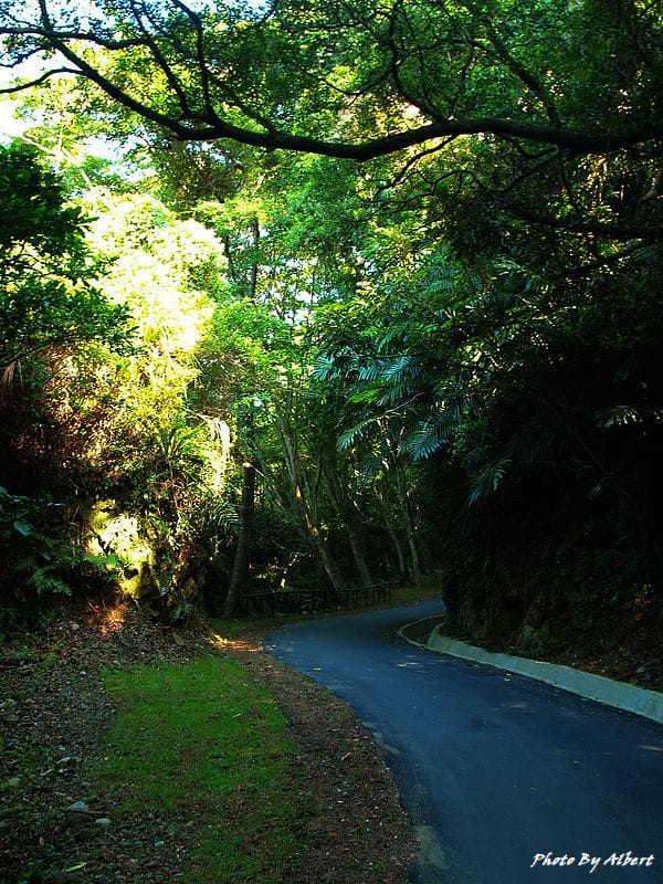 後慈湖．桃園大溪景點（神秘的祕境之南）