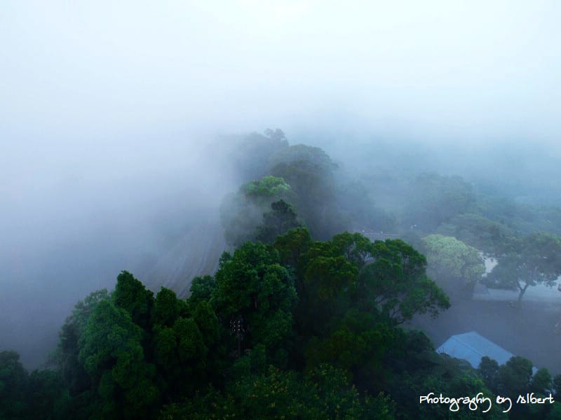 【苗栗三義民宿】苗栗三義．雲洞山莊（世外桃源景觀篇）