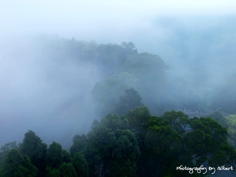 【苗栗三義民宿】苗栗三義．雲洞山莊（世外桃源景觀篇）