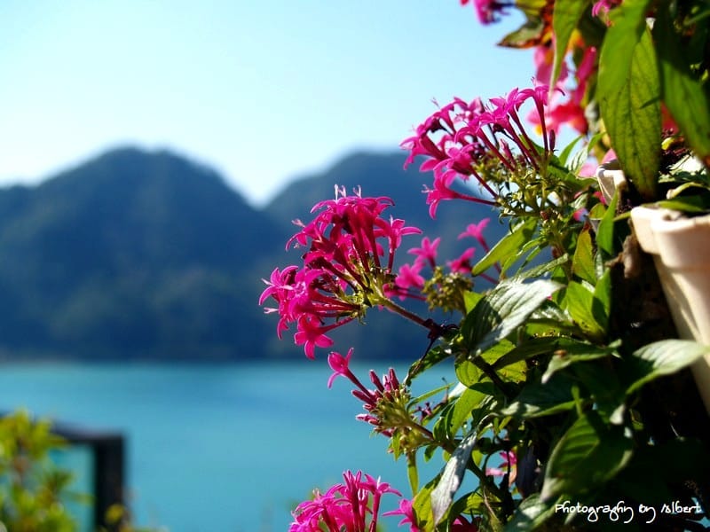 大溪湖畔．桃園景觀餐廳（美麗的雙蜂湖景景觀篇）