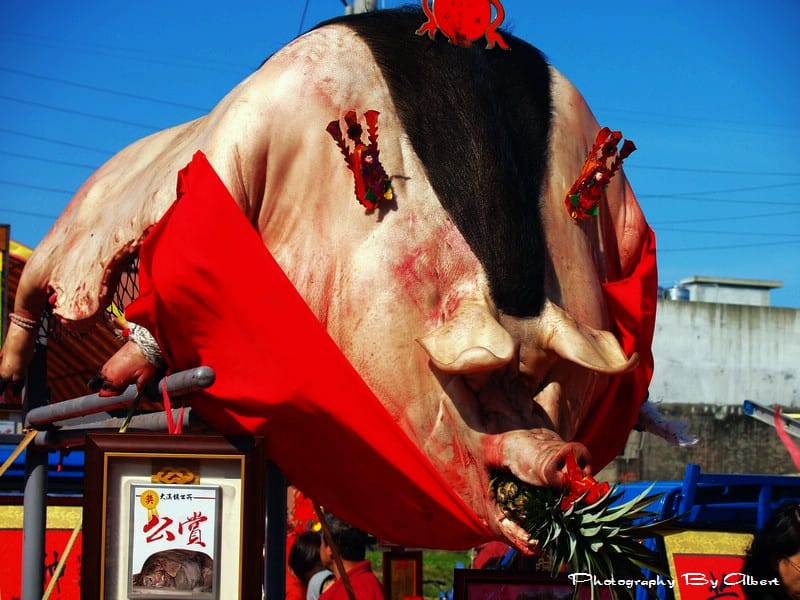 【福醮】桃園大溪.仁和宮(福醮賽神豬) - 第19張圖 【福醮】桃園大溪.仁和宮(福醮賽神豬)