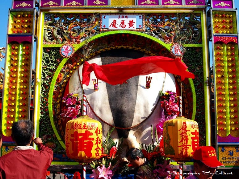 【福醮】桃園大溪.仁和宮(福醮賽神豬) - 第6張圖 【福醮】桃園大溪.仁和宮(福醮賽神豬)