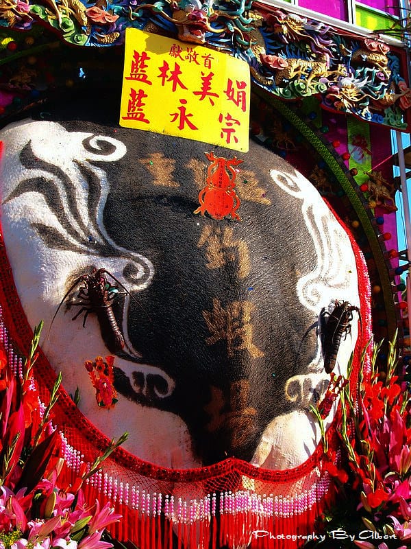 【福醮】桃園大溪.仁和宮(福醮賽神豬) - 第7張圖 【福醮】桃園大溪.仁和宮(福醮賽神豬)