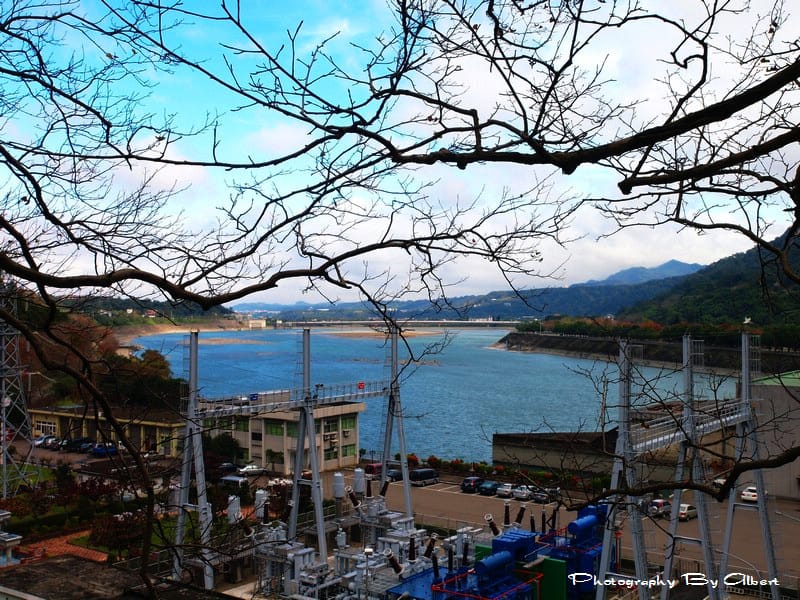 【楓葉】桃園大溪．石門水庫（楓葉已凋謝）