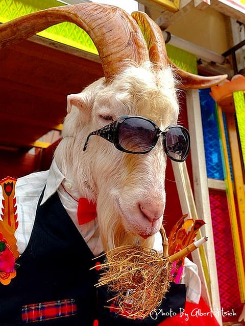 【祭典】桃園龜山．竹林山寺巡迴媽（龜山、鶯歌坪位正戲酬神慶典）