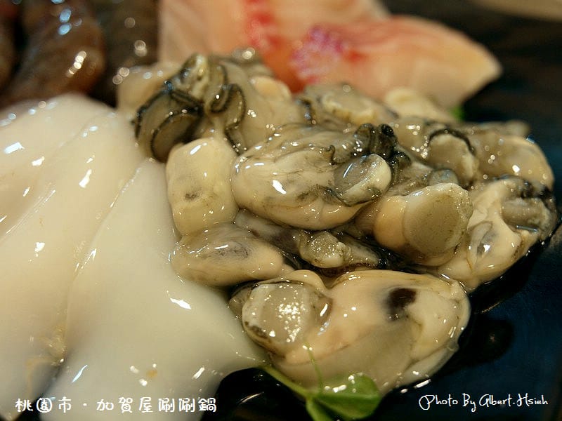 【涮涮鍋】桃園市．加賀屋涮涮鍋（海鮮部分還不錯）