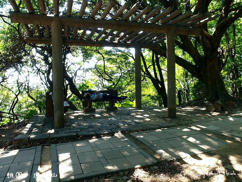 【爬山】桃園市.虎頭山公園(午後放輕鬆) - 第10張圖 【爬山】桃園市.虎頭山公園(午後放輕鬆)