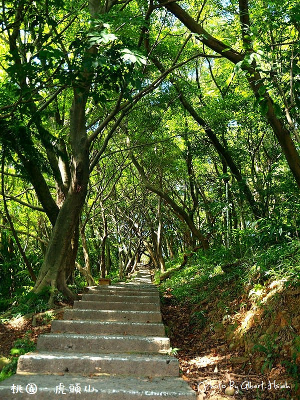 【爬山】桃園市.虎頭山公園(午後放輕鬆) - 第13張圖 【爬山】桃園市.虎頭山公園(午後放輕鬆)