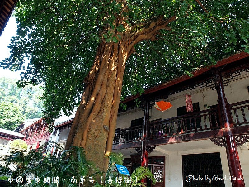 南華寺.中國廣東寺廟(與六祖慧能真身的相遇) - 第19張圖 南華寺.中國廣東寺廟(與六祖慧能真身的相遇)