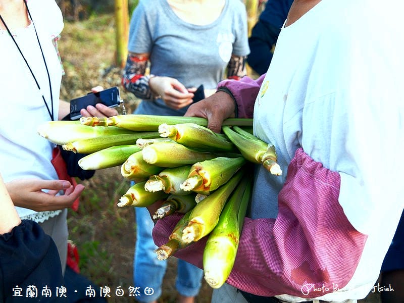 【契作代耕】宜蘭南澳．拼幸福的自然田（換工初體驗）