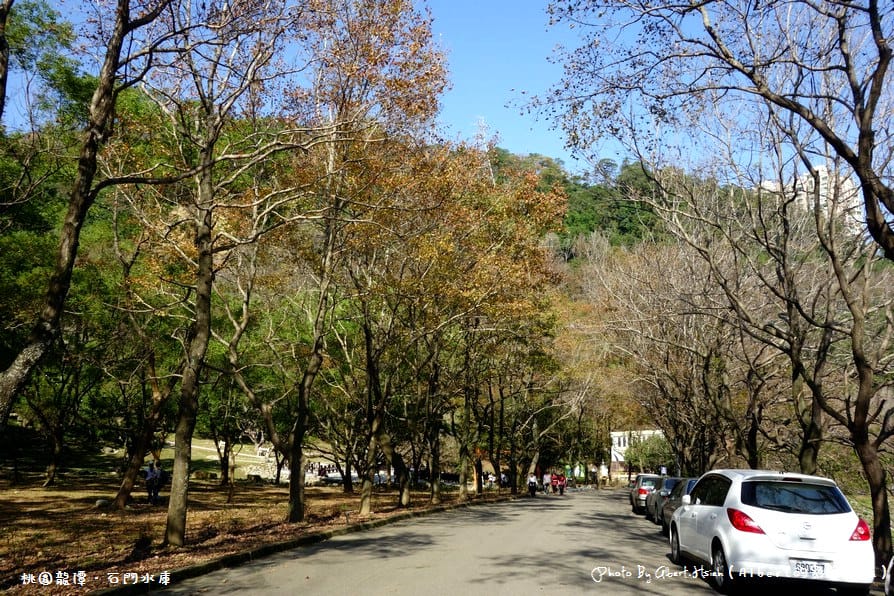 【楓葉】桃園龍潭．石門水庫（陽光照射下的楓紅更是美麗）