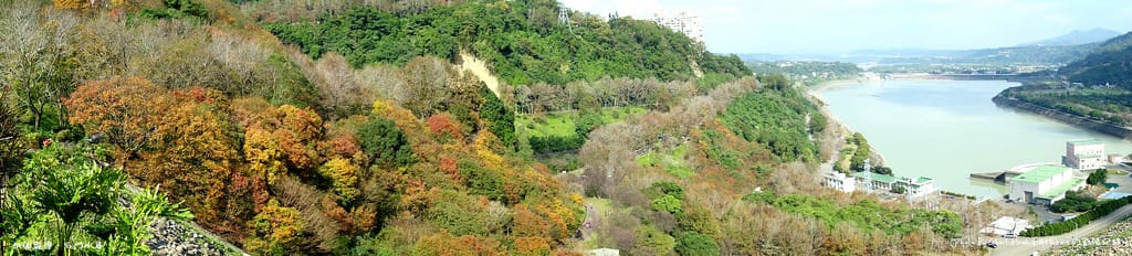 【楓葉】桃園龍潭．石門水庫（陽光照射下的楓紅更是美麗）