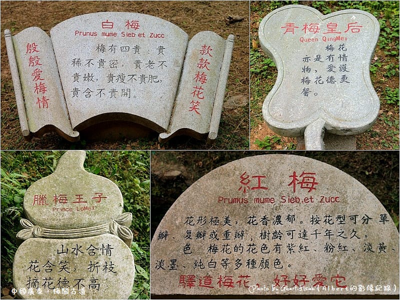 【古道】中國廣東.梅關古道(在這裡可以一步跨二省) - 第20張圖 【古道】中國廣東.梅關古道(在這裡可以一步跨二省)