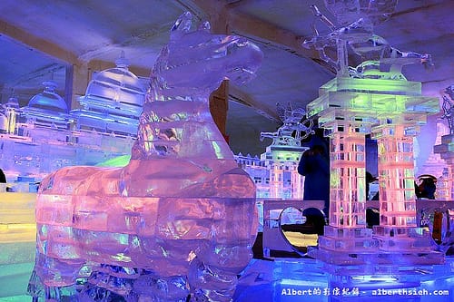【冰雕展】新竹竹北.2013新竹哈爾濱冰燈嘉年華(零下18度C的瘋狂體驗) - 第24張圖 【冰雕展】新竹竹北.2013新竹哈爾濱冰燈嘉年華(零下18度C的瘋狂體驗)