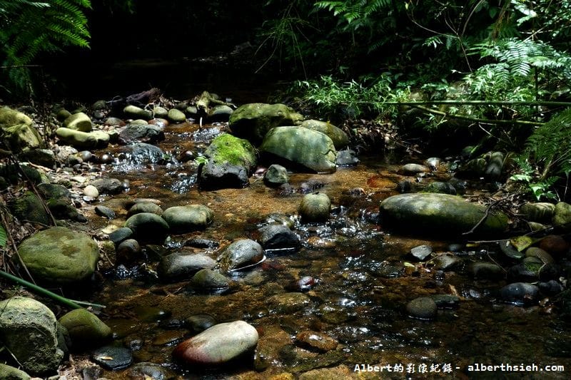【油桐花】桃園大溪.打鐵寮古道(筆直陡上涼爽的古道) - 第21張圖 【油桐花】桃園大溪.打鐵寮古道(筆直陡上涼爽的古道)