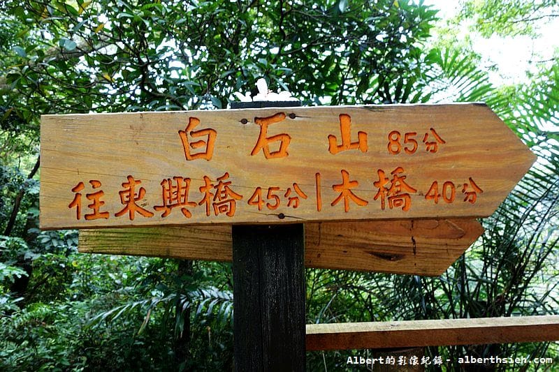 【油桐花】桃園大溪.打鐵寮古道(筆直陡上涼爽的古道) - 第19張圖 【油桐花】桃園大溪.打鐵寮古道(筆直陡上涼爽的古道)