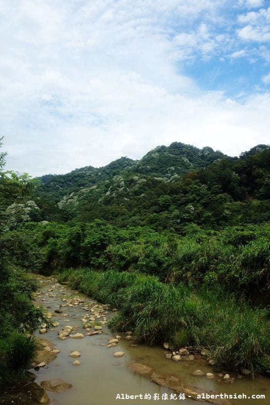 【油桐花】桃園大溪.打鐵寮古道(筆直陡上涼爽的古道) - 第4張圖 【油桐花】桃園大溪.打鐵寮古道(筆直陡上涼爽的古道)