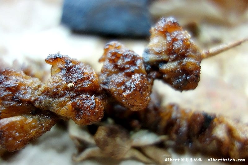 【桃園夜市美食】桃園市．北港烤肉（讓你回味無窮的碳烤）