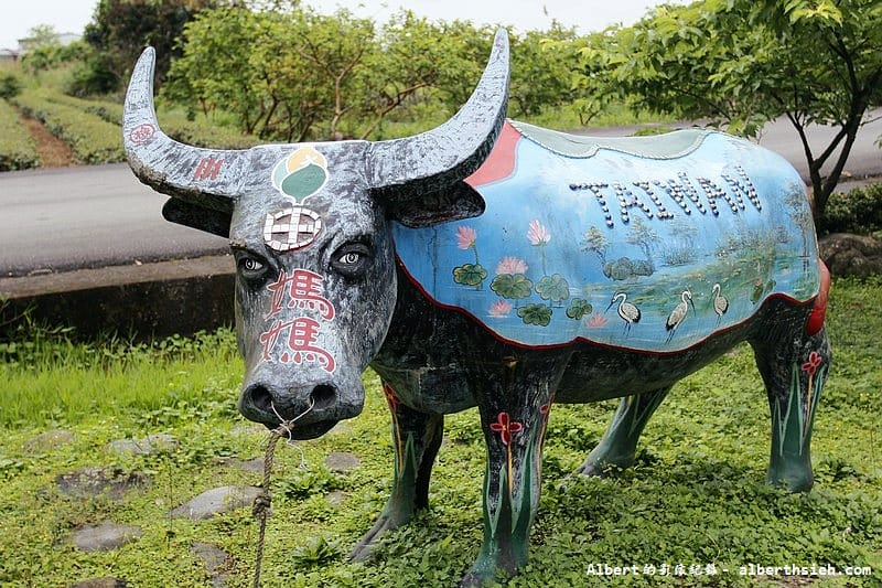 【田媽媽】宜蘭冬山．一佳村青草園（美味的養生五行餐）