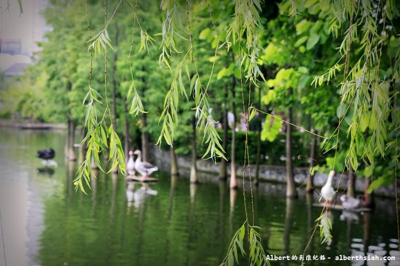 【古宅園林】廣東東莞．廣東四大名園之可園（保存良好的清朝建築）