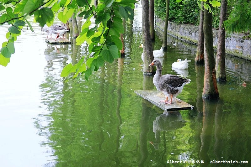 【古宅園林】廣東東莞．廣東四大名園之可園（美麗的嶺南古建築）